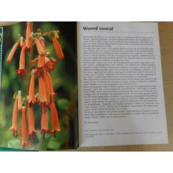 Kuipplanten encyclopedie - Nico Vermeulen