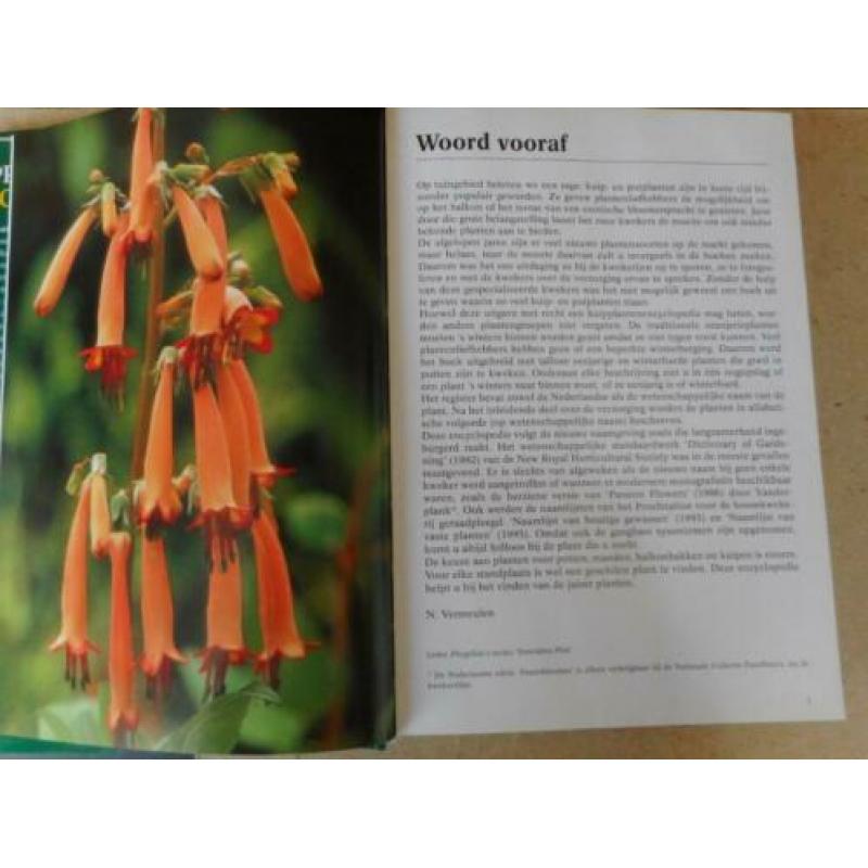 Kuipplanten encyclopedie - Nico Vermeulen