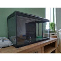 Aquarium 80*33*40 met led verlichting