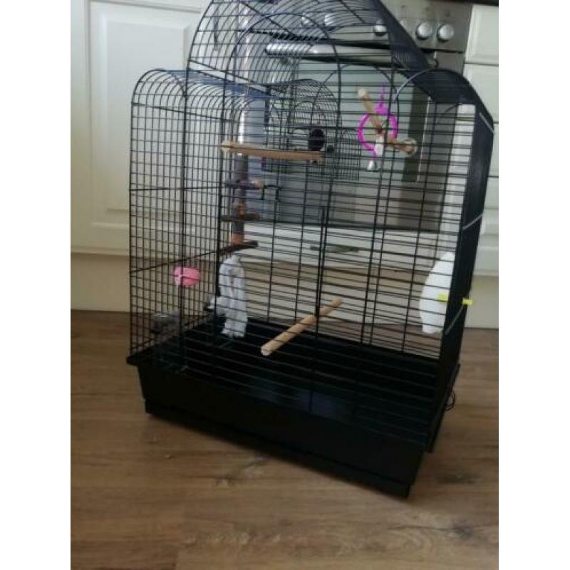 Nieuwe vogelkooi voor kanarie, grasparkiet, enz.