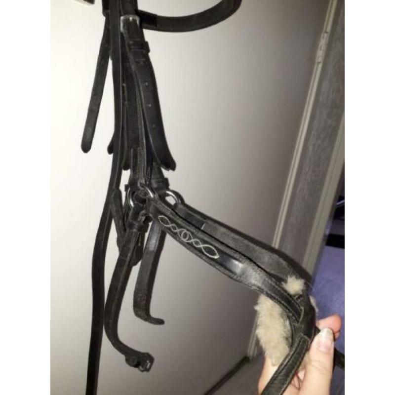 Mexicaans hoofdstel maat pony