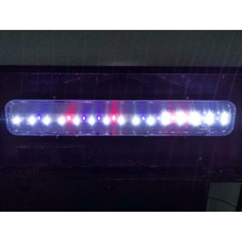 Aquarium 80*33*40 met led verlichting