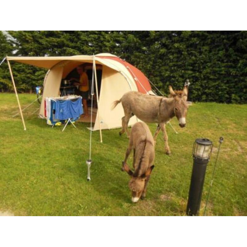 Karsten tent