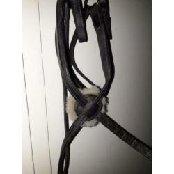 Mexicaans hoofdstel maat pony