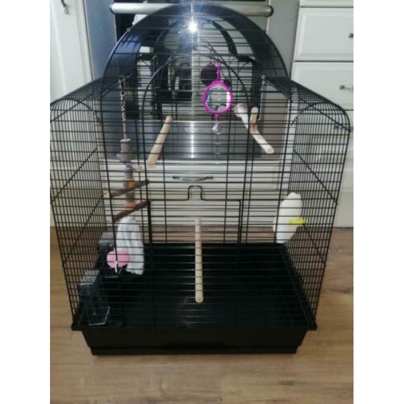 Nieuwe vogelkooi voor kanarie, grasparkiet, enz.