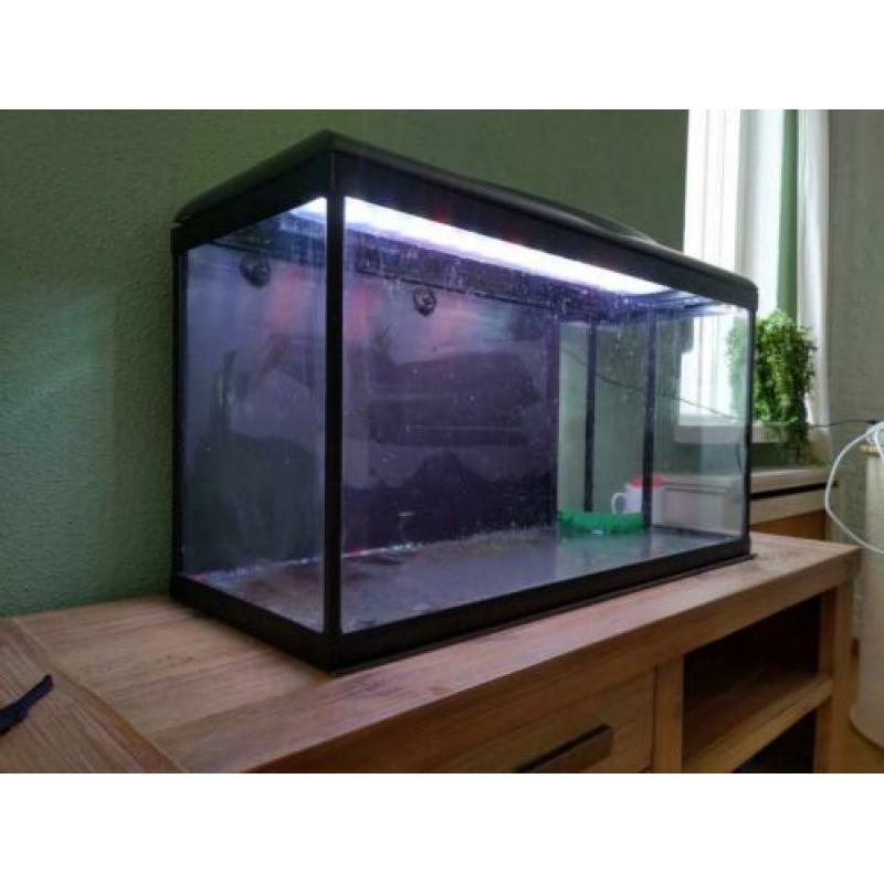 Aquarium 80*33*40 met led verlichting
