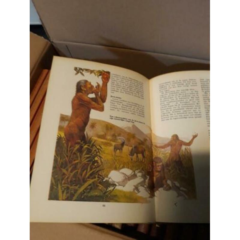 Mooie serie wetenschapsboeken
