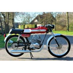 Ducati Sl50