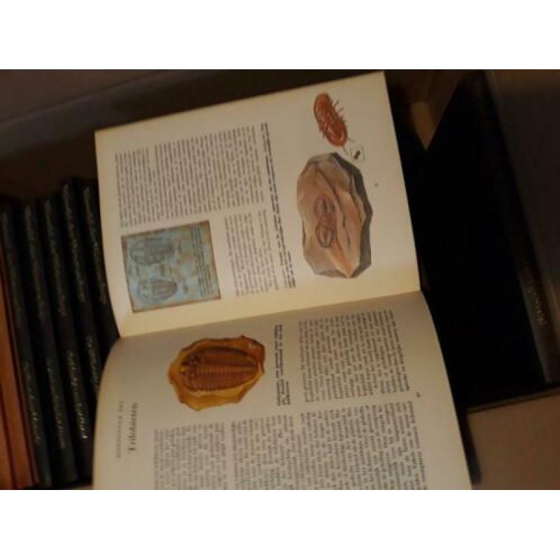 Mooie serie wetenschapsboeken