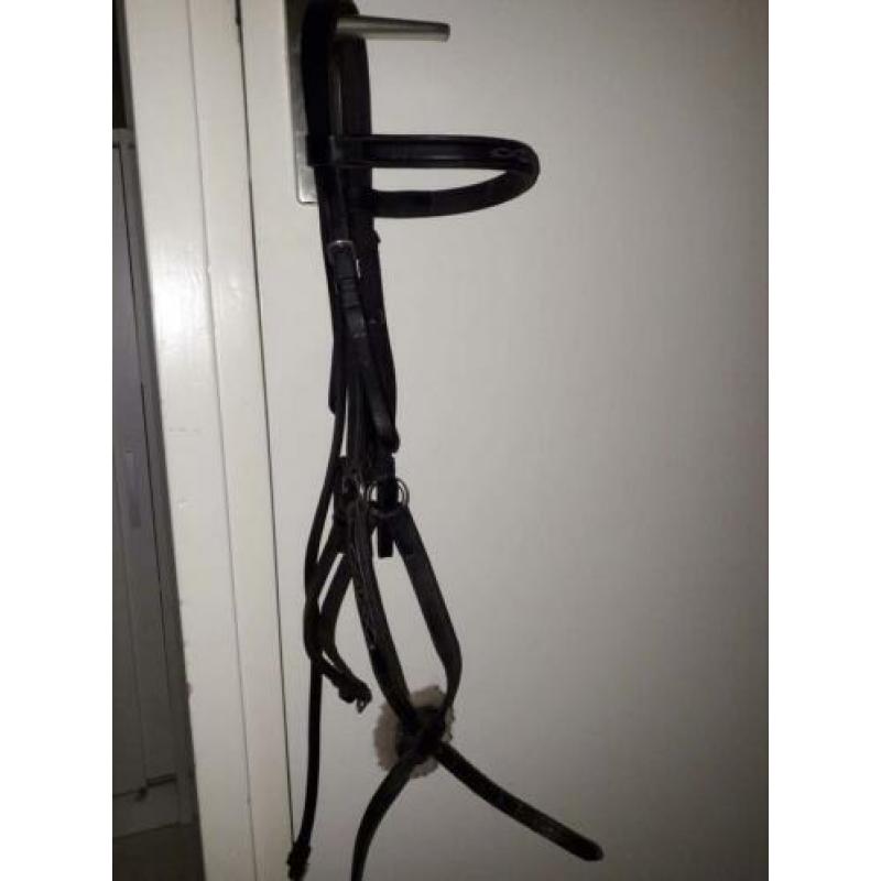 Mexicaans hoofdstel maat pony