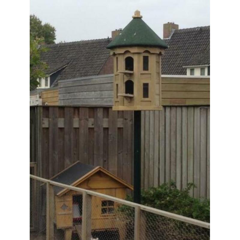 Duiventillen.