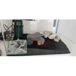 Aquarium incl Toebehoren