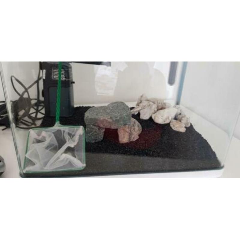 Aquarium incl Toebehoren