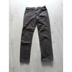 Broek Gardeur 34/34 bruin