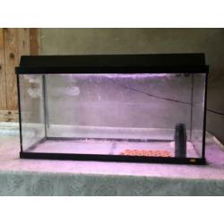 Juwel aquarium/terrarium L80xD30xH40 + toebehoren