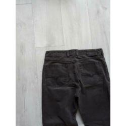 Broek Gardeur 34/34 bruin
