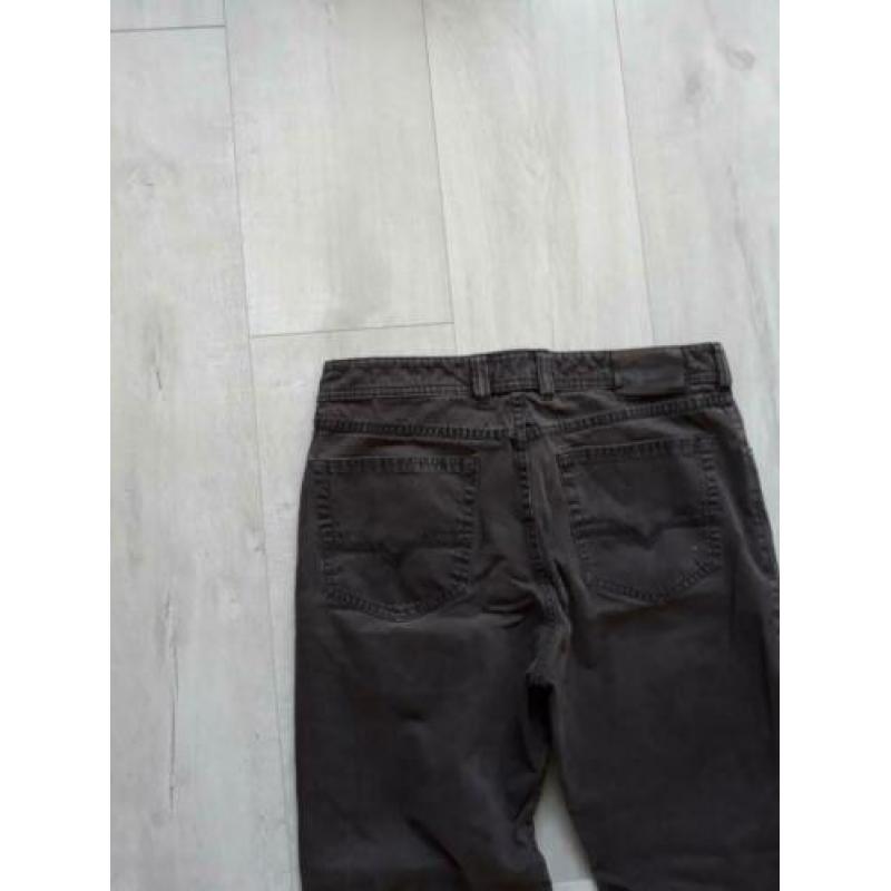Broek Gardeur 34/34 bruin