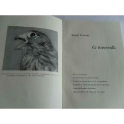 De TORENVALK door Rudolf Piechocki