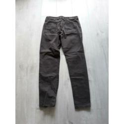 Broek Gardeur 34/34 bruin
