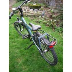 20 inch Batavus Snake jongensfiets