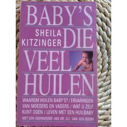 Een beetje zwanger - Arend van Dam - e.a. zwangerschaps boek