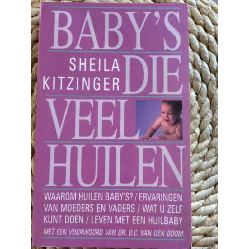 Een beetje zwanger - Arend van Dam - e.a. zwangerschaps boek