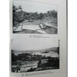 Indië in woord en beeld door Sari Hindia vm.Ned.Indië