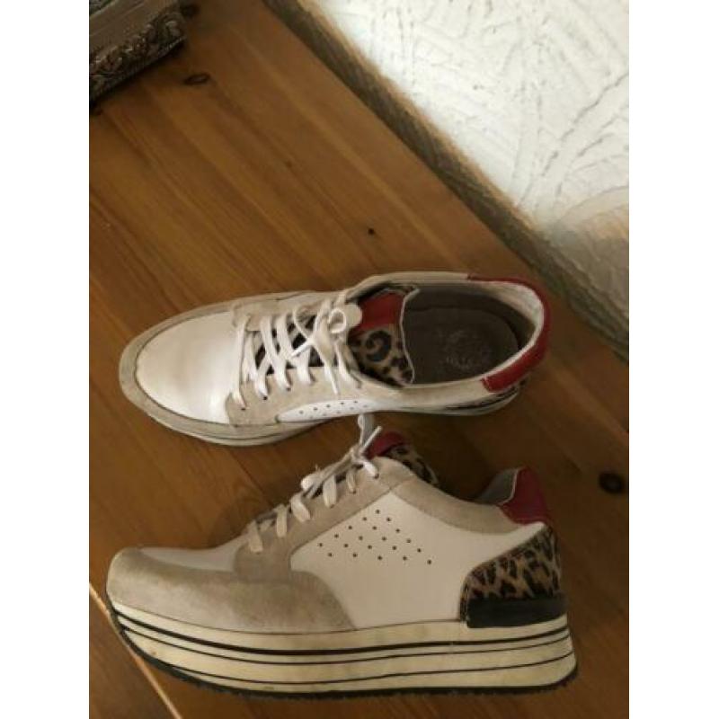 Sneakers écht leer kl wit met luipaard print mt 40