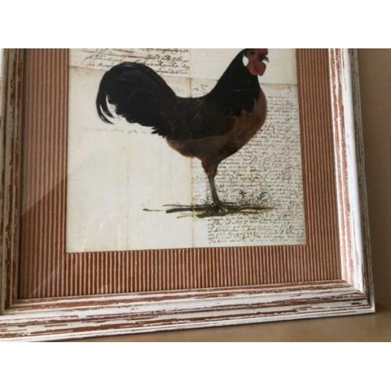 Schilderij kip en haan, set van 2