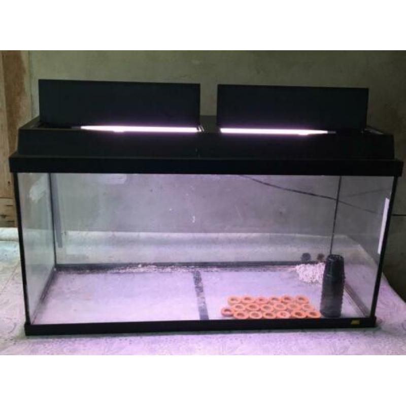 Juwel aquarium/terrarium L80xD30xH40 + toebehoren
