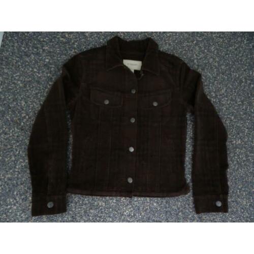 burberry jasje 36