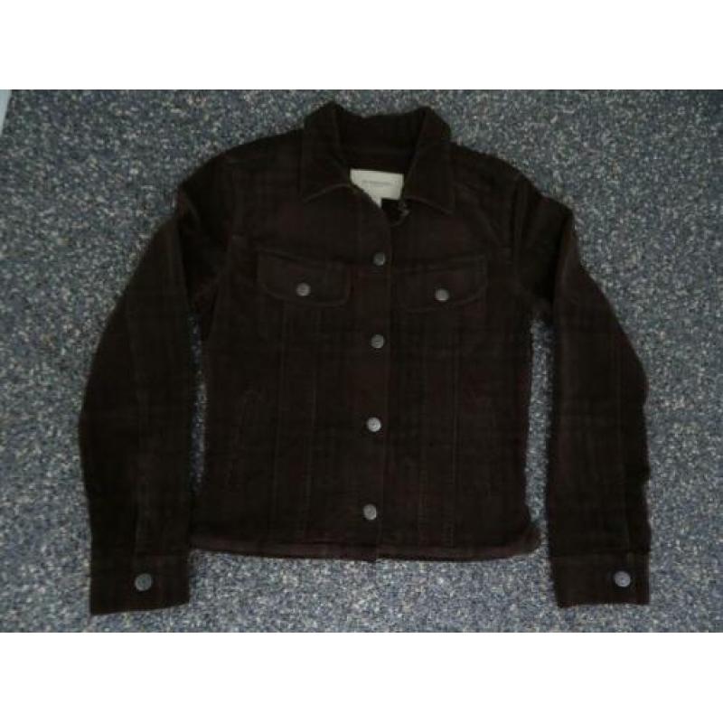 burberry jasje 36