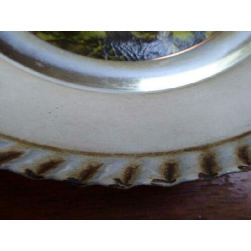 Licht metalen wandbord met mooie afbeelding.