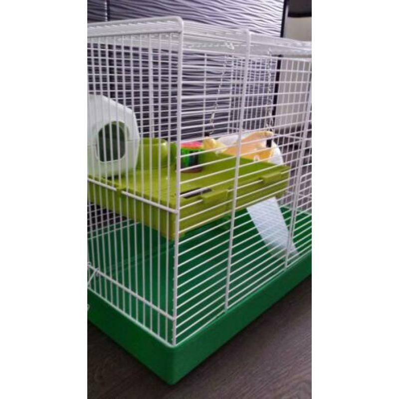 Supermooie ruime Hamsterkooi