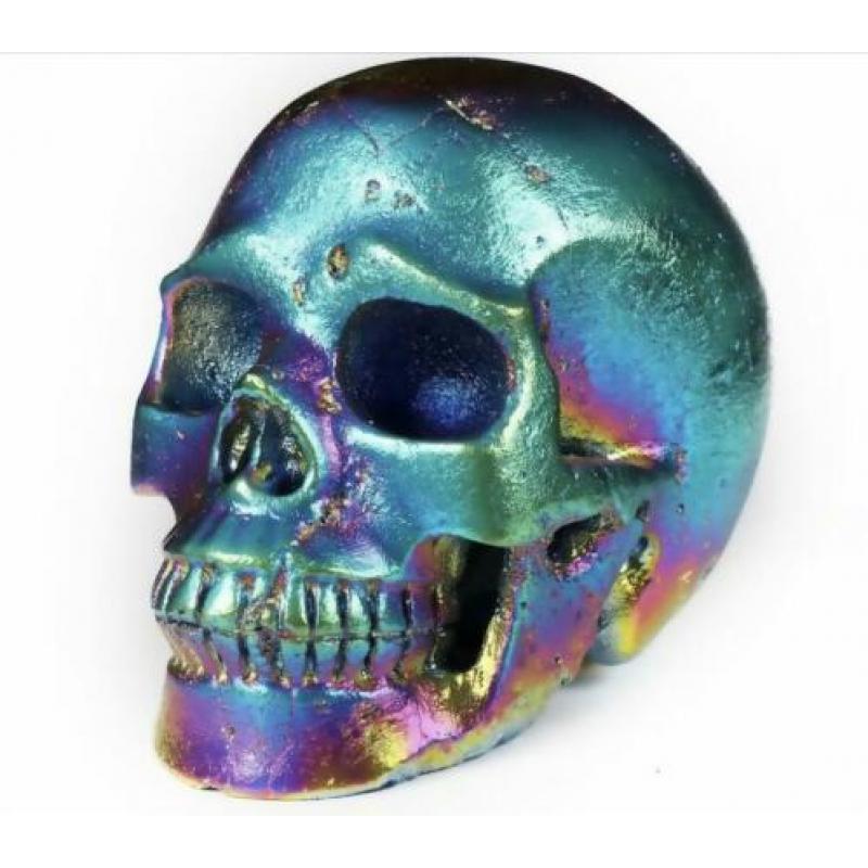 Regenboog Schedel Kristal Titanium Rainbow Aura Edelsteen