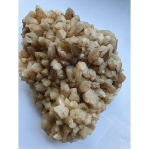 Te koop: Grote brok Calcietpunten, 4kg. 23/20 cm.