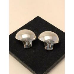 Grote zilveren clips
