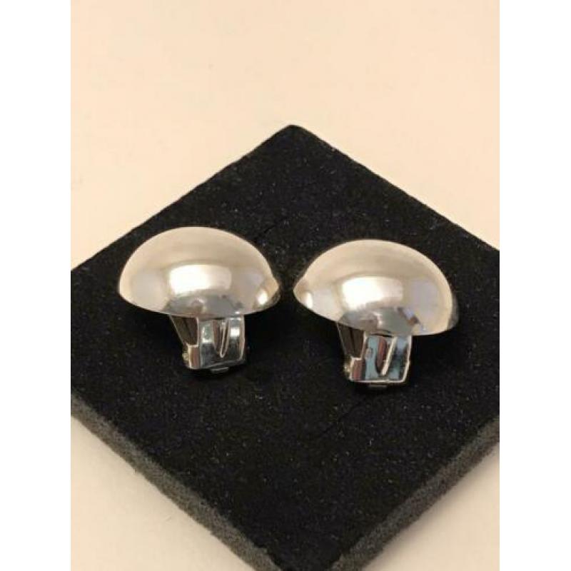 Grote zilveren clips