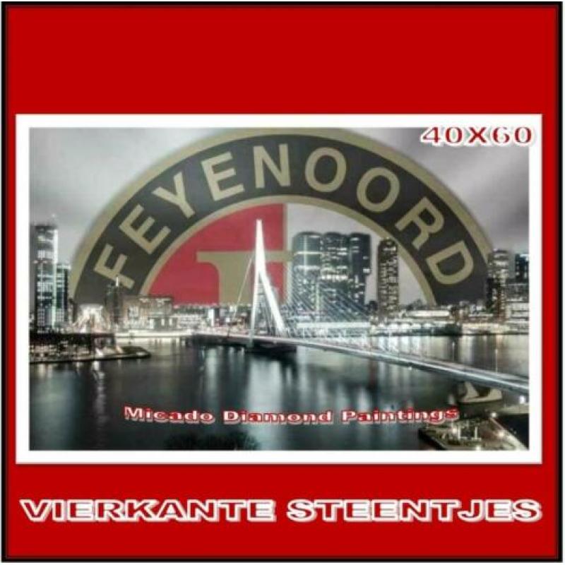 ¦ Diamond Painting Feyenoord 40*60 Full-Volledig