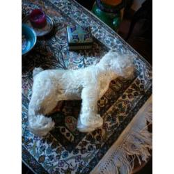 Steiff