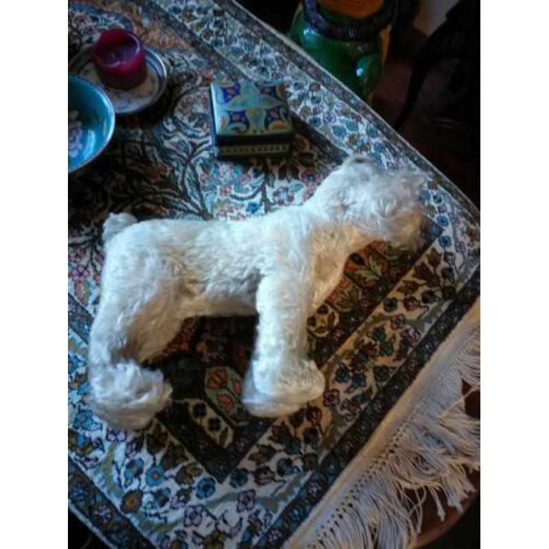 Steiff