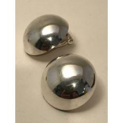 Grote zilveren clips