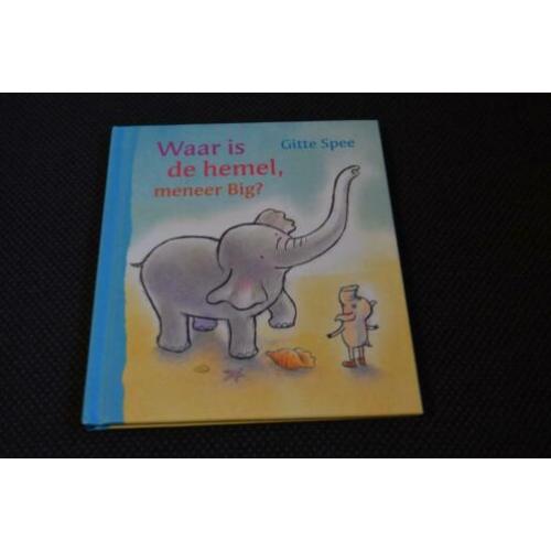 Boek; Waar is de hemel, meneer big?