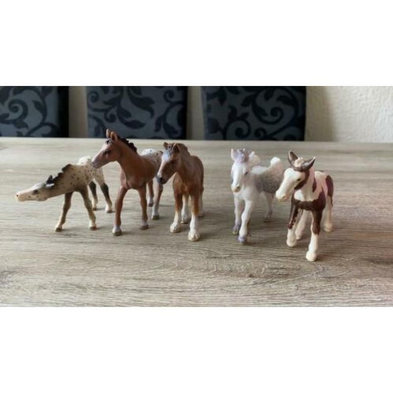 Schleich veulens