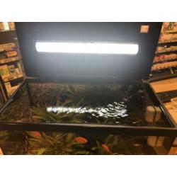 Mooie 60 liter aquarium, compleet!