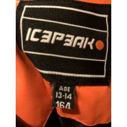 Skikleding: broek en jas (maat 164)