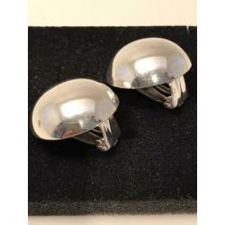 Grote zilveren clips