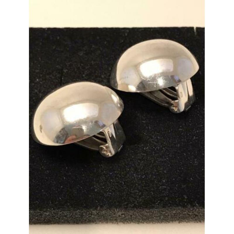 Grote zilveren clips