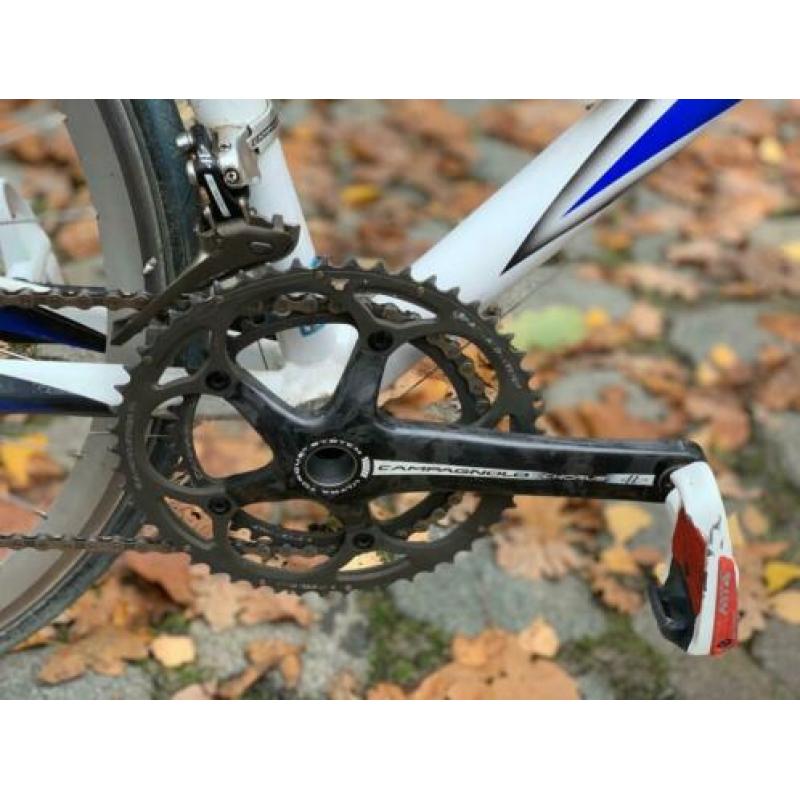Race-fiets ridley campagnolo chorus carbon te koop. IZGS!