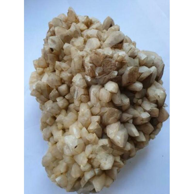 Te koop: Grote brok Calcietpunten, 4kg. 23/20 cm.